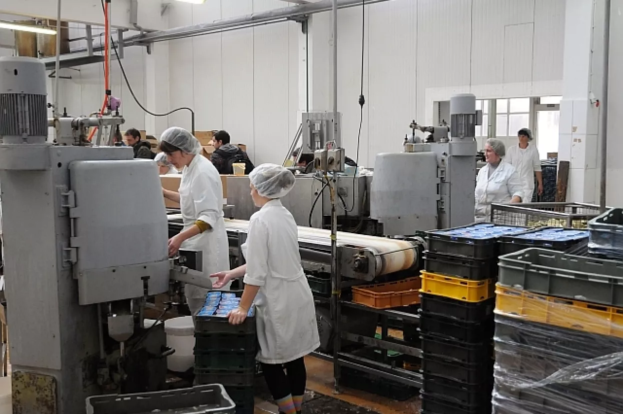 Najvi&scaron;e novonezaposlenih dolazi iz prerađivačke industrije