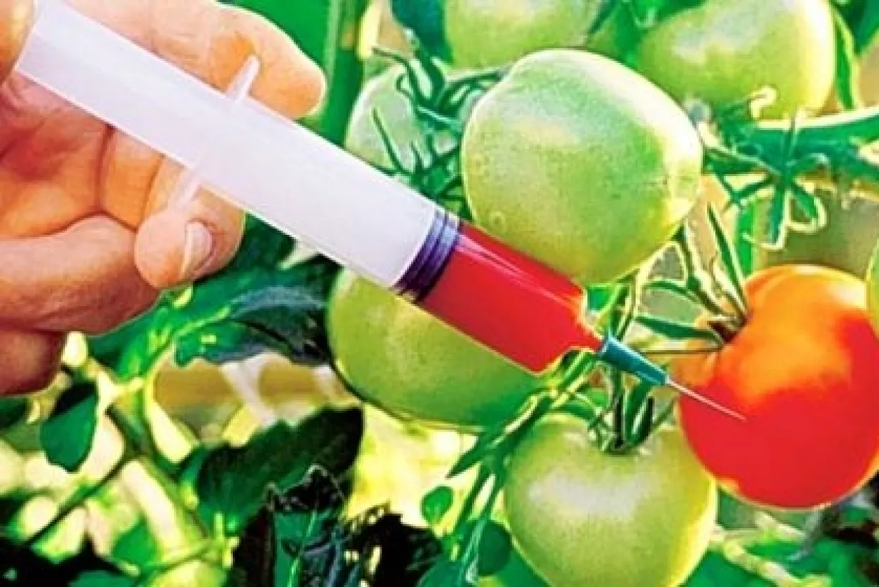 Zastupnici raspravljaju o izmjenama zakona o GMO-u