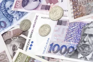 Raste dug središnje države