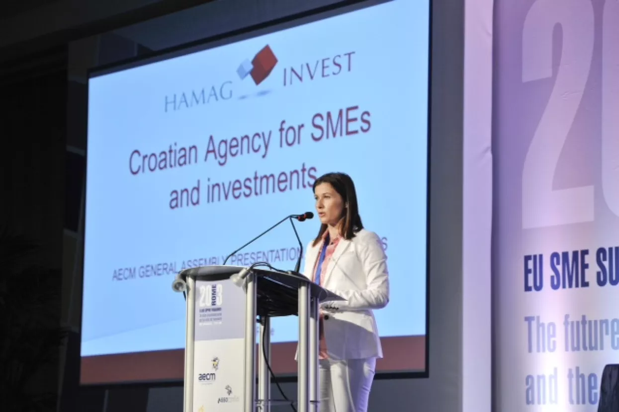 HAMAG INVEST u dru&scaron;tvu velikih