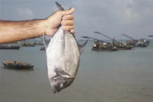 Tko će se smjeti baviti malim ribolovom?