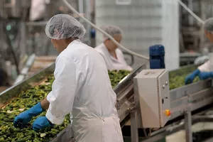 Otvoren novi proizvodni pogon AgroFructus grupe za preradu voća i povrća
