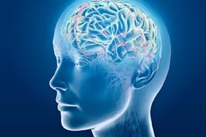 Neuroznanstvenici pronašli način da čitaju misli