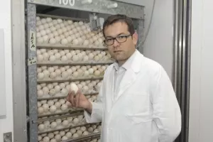 Na Purisovu farmu ponovno se useljavaju mladi purani