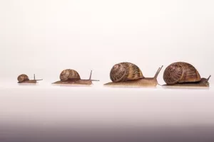 U 2015. bi BDP konačno mogao početi rasti, ali u ovoj godini pad od 0,6 posto