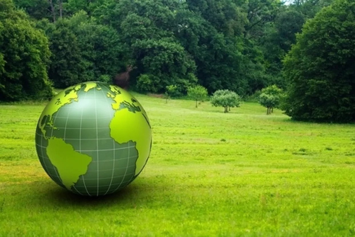 Do 2030. otvorit će se milijun 'zelenih poslova' u Kini, EU i SAD-u