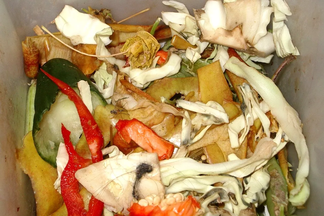 Francuskim supermarketima zabranjeno bacanje i uništavanje neprodane, ali jestive hrane