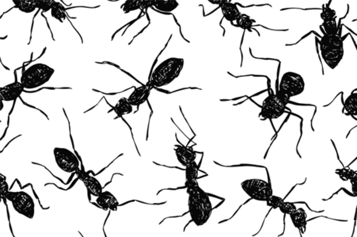 Mikrotvrtke - Država ih priznala, ali ne daje im nikakve pogodnosti