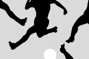 Oko 120 'neprofitnih' obveznici su revizije od ove godine