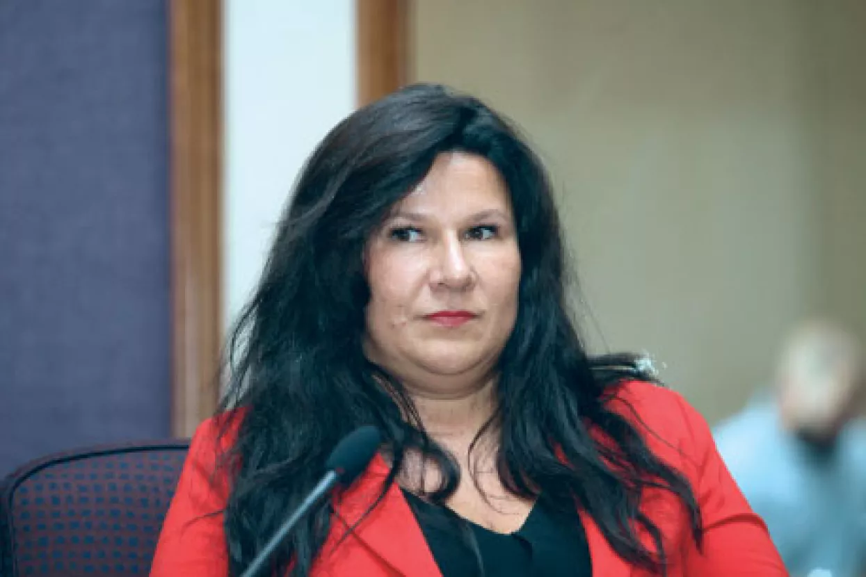 Upravljačku palicu Uprava Holdinga dodijelila je Dini Tom&scaron;ić