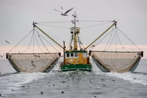 Za 17 uništenih i jedno prenamijenjeno ribarsko plovilo isplaćeno 35,68 milijuna kuna