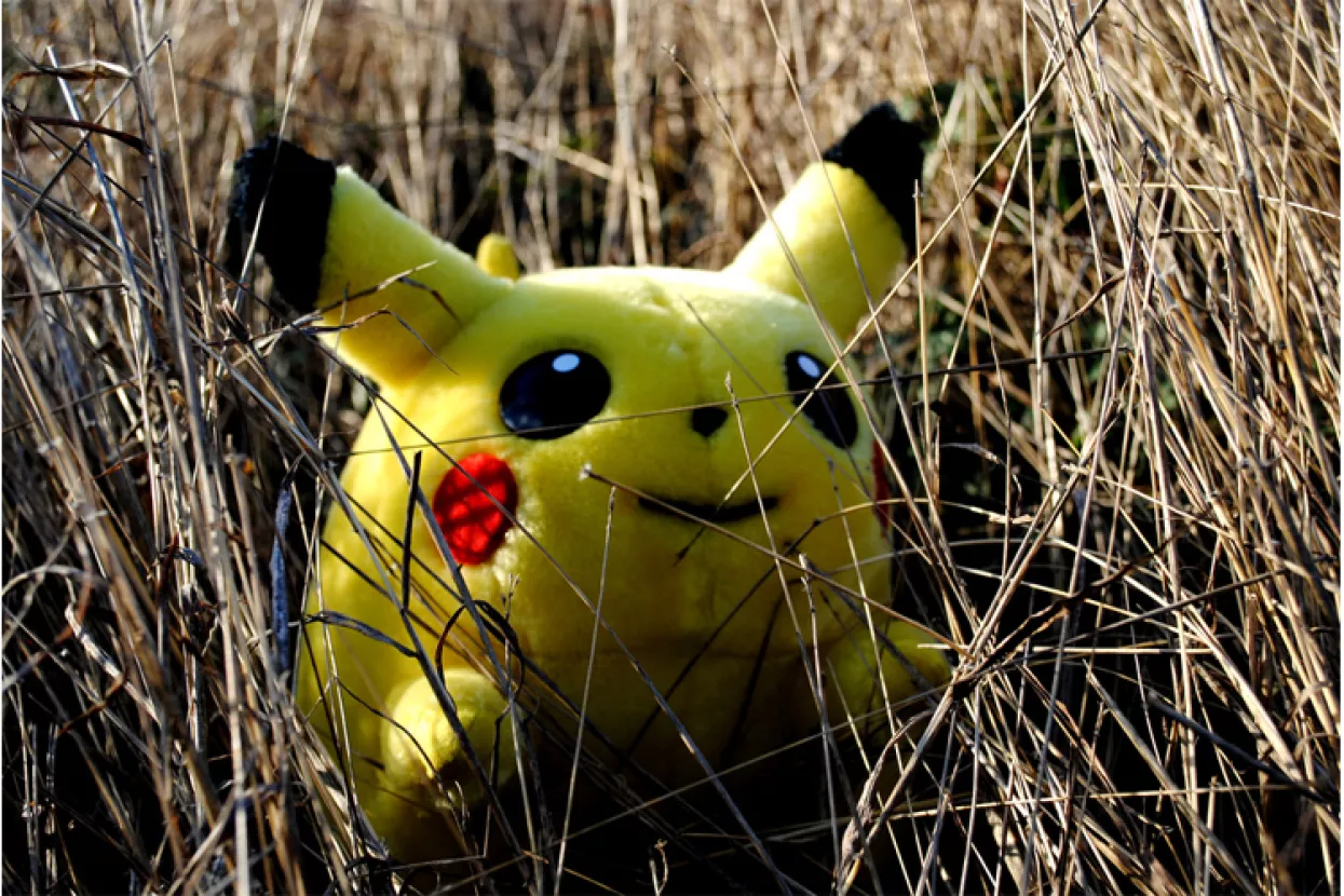 Francuska vojska Pokémon Go smatra prijetnjom sigurnosti
