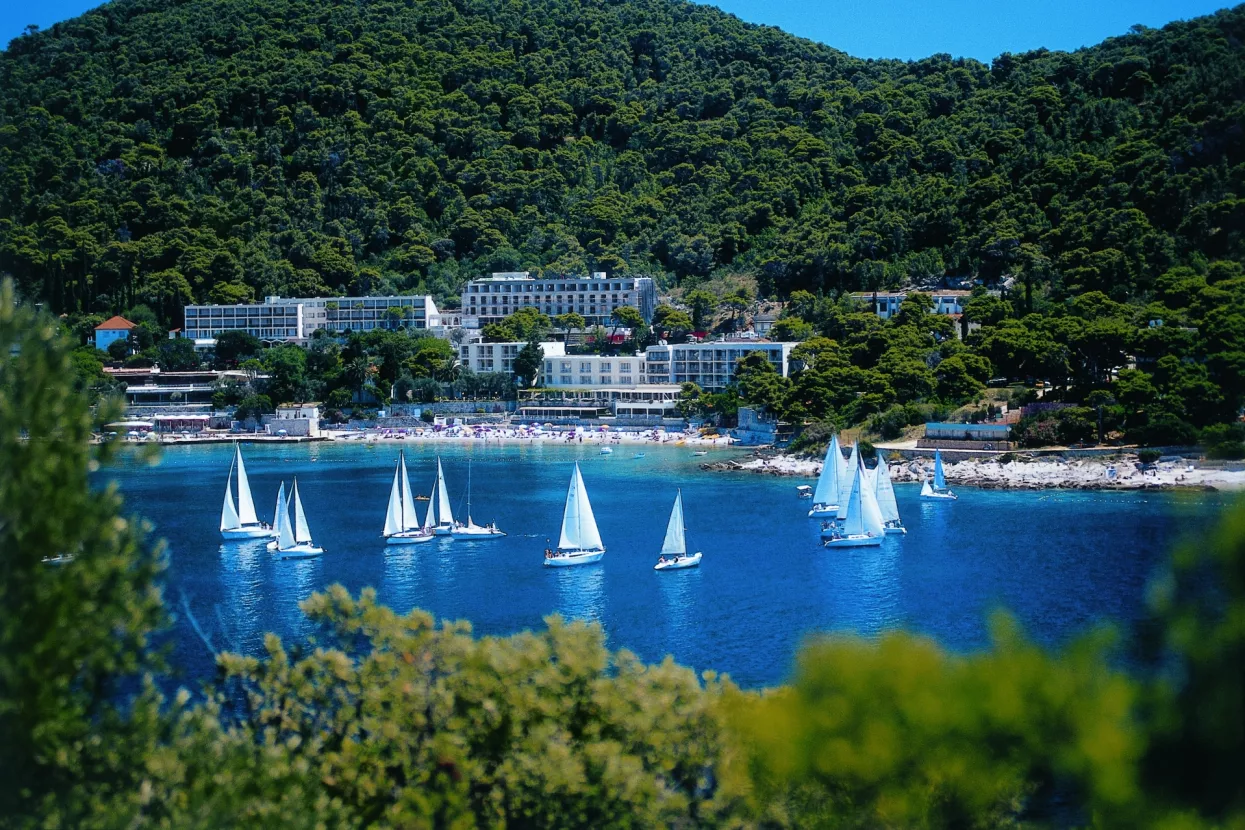CERP bez obvezujuće ponude za Hotele Maestral