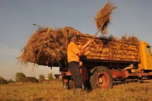 'Obećano-učinjeno': Tolušić osigurao 305 milijuna kn više za poticaje poljoprivrednicima