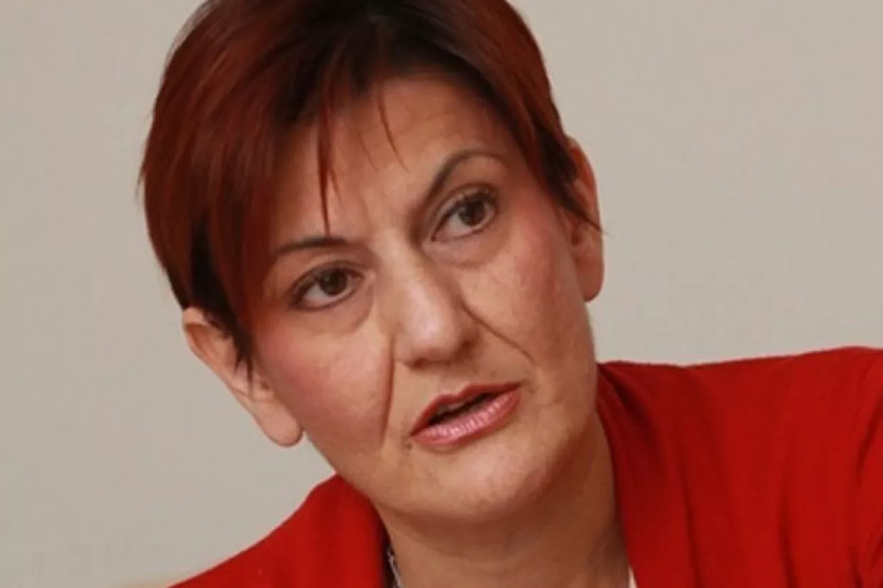 Dobrović: 'Arhitekt' privatizacije HEP-a je Martina Dalić