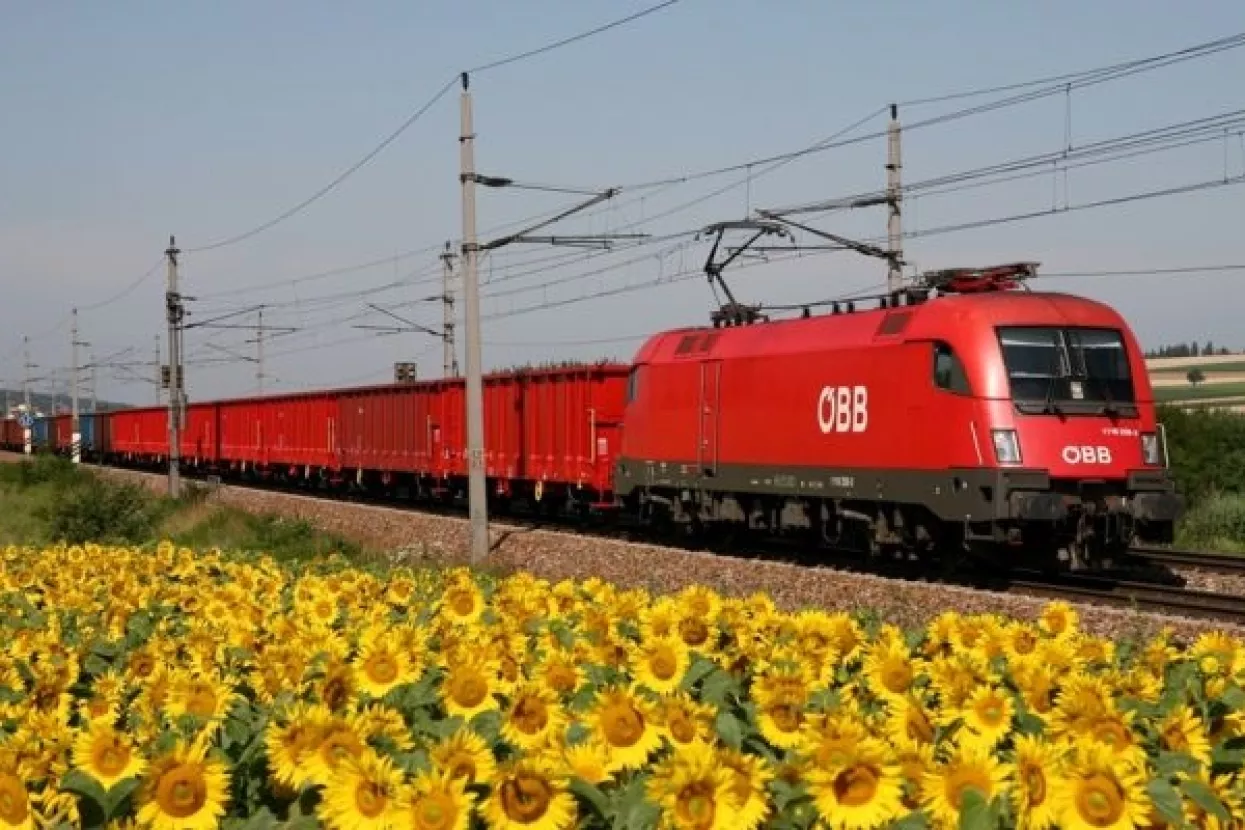 25 godina &Ouml;BB-a u Hrvatskoj