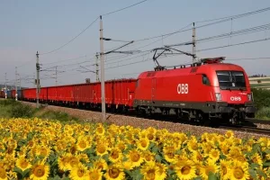 25 godina &Ouml;BB-a u Hrvatskoj