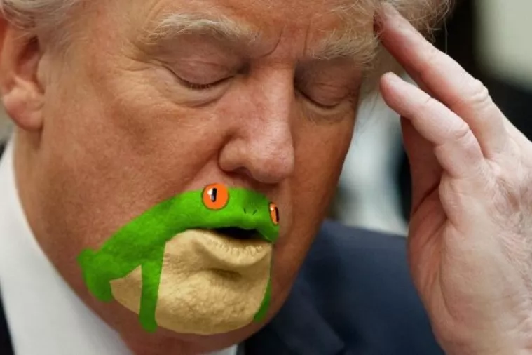 Donald Trump postao žabac poznatiji od Kermita