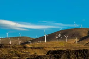 Broj zaposlenih u sektoru obnovljivih izvora energije dvostruko porastao u posljednjih pet godina