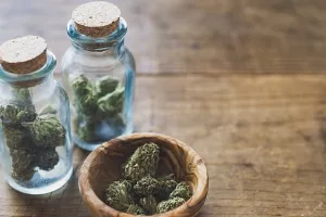 Florida legalizira medicinski kanabis