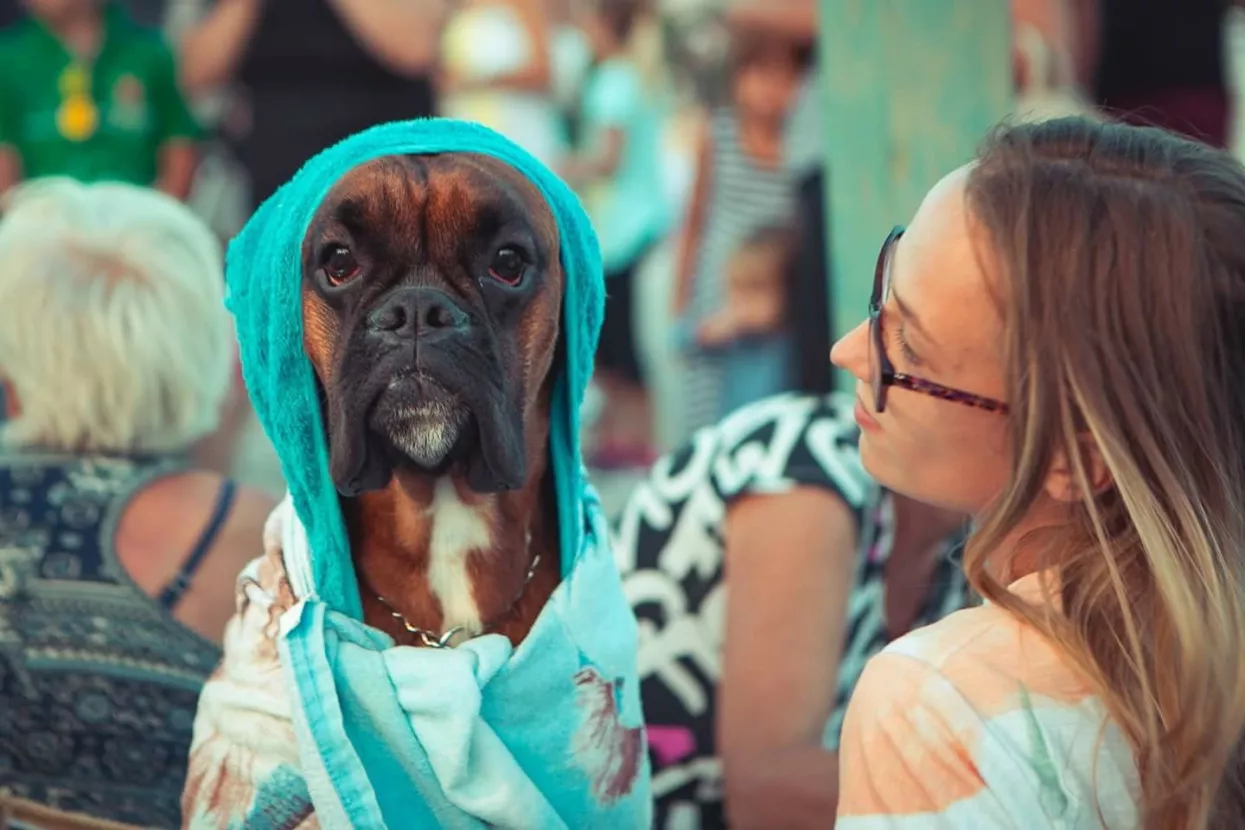 Utrka na plaži za pse i pivo od piletine proslavili Montijev bar u Crikvenici