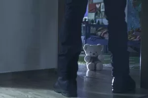'Protupedofilske mjere' HDZ-a u saborskoj proceduri