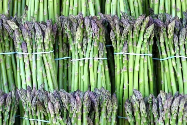 Internet užaren nakon studije koja aspargin iz &scaron;paroga povezuje s rakom