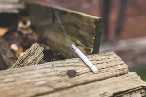 Neugašeni opušci uzrok su velikog požara u Elgradu