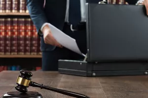 Tvrtka Milanovićevog brata, Modestus, u stečaju
