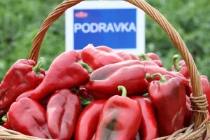 Grupa Podravka u prvom tromjesečju ostvarila najbolji rezultat u dugogodišnjoj povijesti