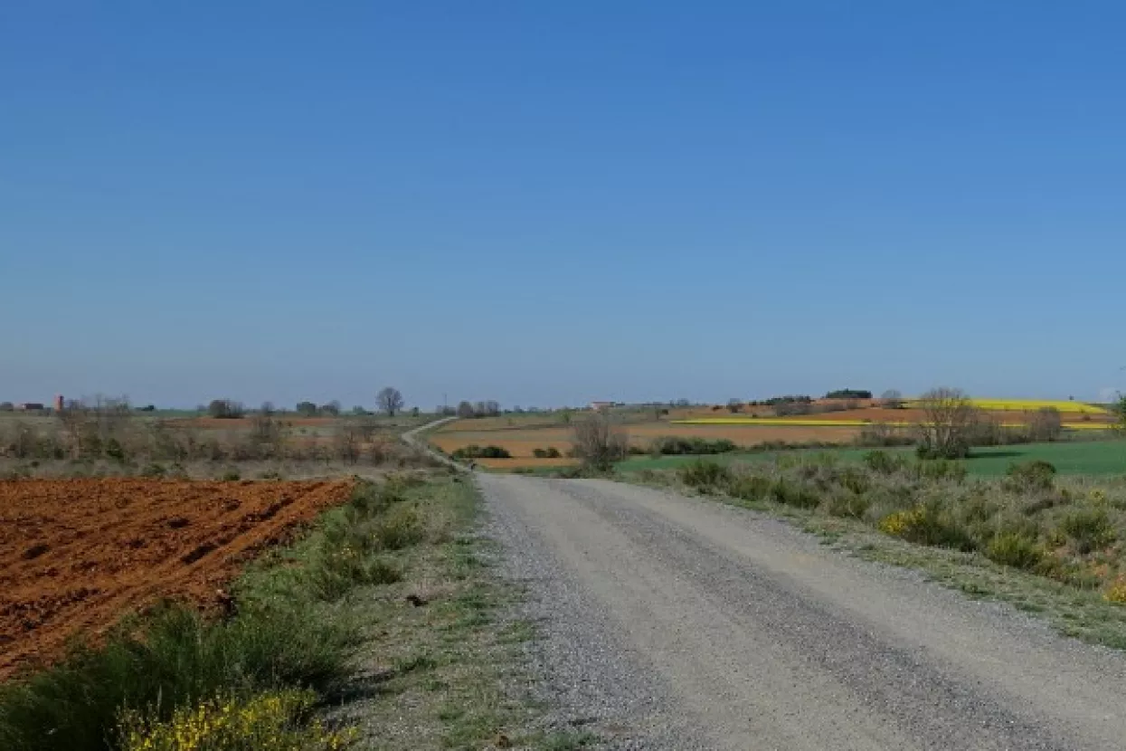 Slijepi Slovenac s labradorkom Bibom propje&scaron;ačio Camino de Santiago