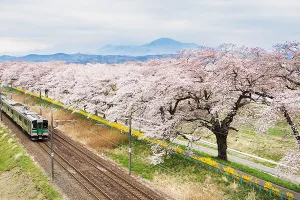 Nakon dvije godine rasta japansko gospodarstvo palo