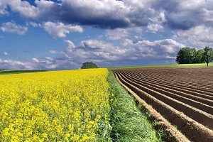 'Cap for You' dobio 650 tisuća kuna europskih sredstava