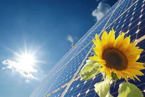 IEA upozorava na zabrinjavajući trend - padaju investicije u obnovljive izvore energije