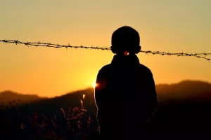 Faktograf - sve laži i izmišljotine o migrantima