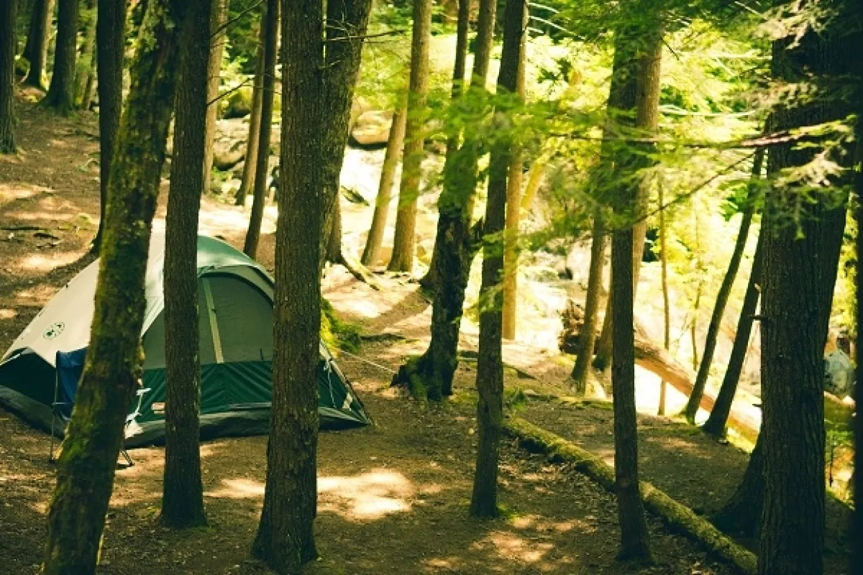 Valamar unapređuje naturistički kamp Istra Sunny u premium camping resort