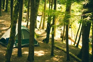 Valamar unapređuje naturistički kamp Istra Sunny u premium camping resort