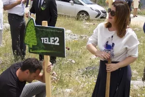Akcija Boranka: Nacrtajte drvce i pomozite obnoviti opožarena područja Dalmacije
