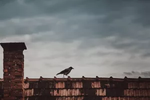 Danas u Hrvatskoj