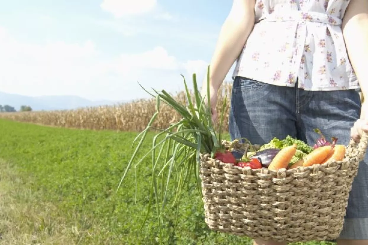 Iscijelite svoju &scaron;titnjaču