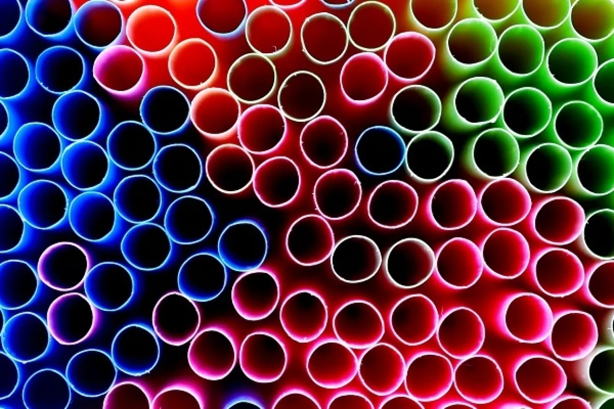 Posljednja slamka: Europski parlament glasovao za zabranu niza jednokratnih plastičnih proizvoda