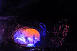 Potraga za talentima: Headhunteri postali rudari na društvenim mrežama