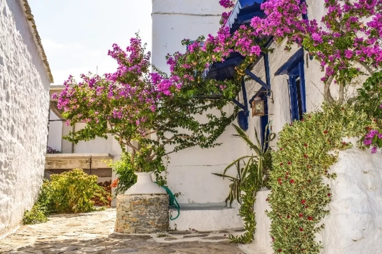 Okusi Mediteran: Međunarodni festival gastronomije na Hvaru