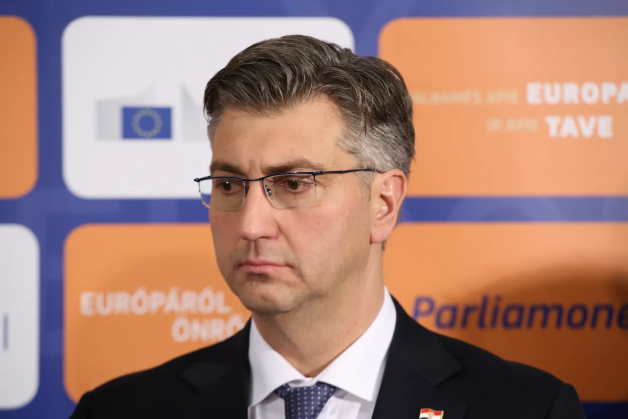 Goran Litvan: Zašto su europski izbori važniji od rezultata