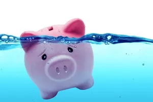 Anketa o životnom standardu: Odlazi li srednja klasa u raj ili u Irsku i Njemačku?