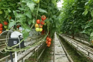 Zdrav život: Pogledajte 20 načina dobre zarade na najvećoj opsesiji našeg doba