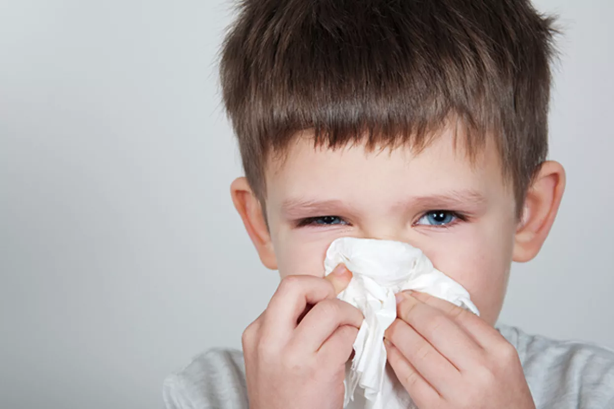 Jeste li alergični na ambroziju? Dođite na besplatno testiranje u četvrtak