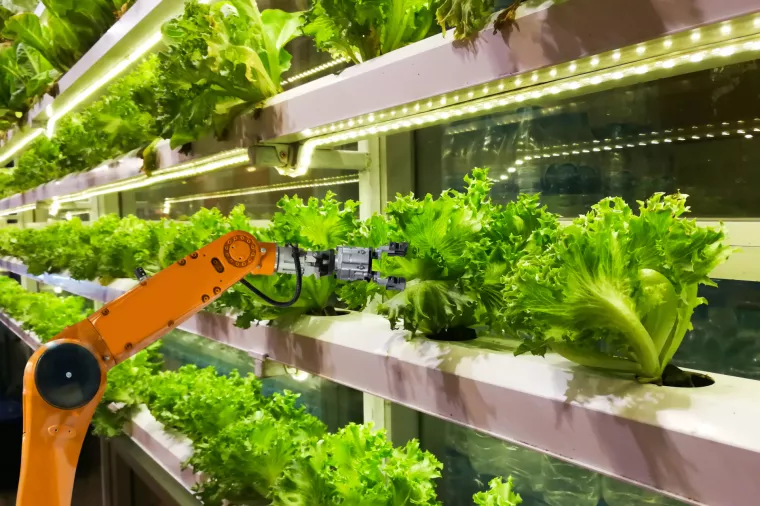 GrowCity: Mobilni sustavi za uzgoj hrane u pustinji, izbjegličkom kampu ili na Marsu
