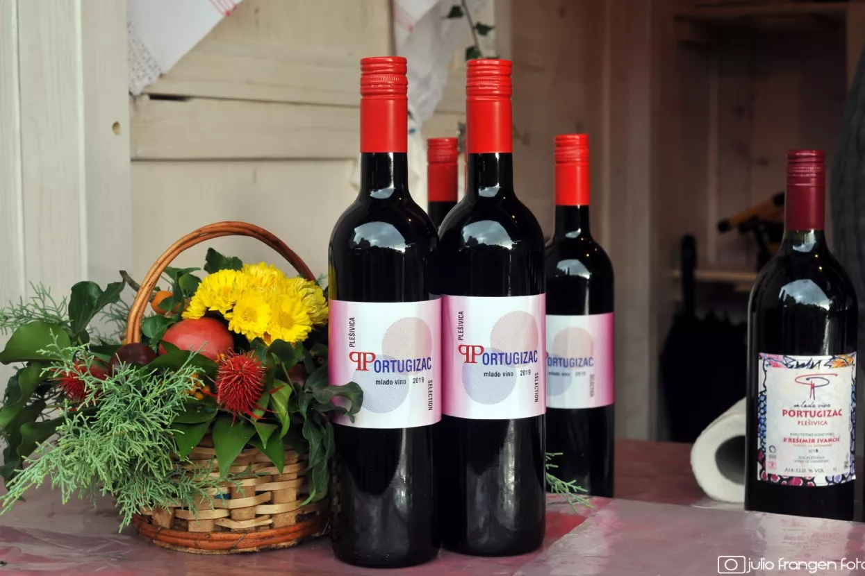 Došel je došel Sveti Martin - Na Festivalu mladog vina predstavljeni brojni vinari