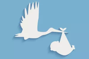 PRIRODNI PRIPAD: Hrvatska ove godine pada ispod četiri milijuna stanovnika